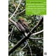thumbnail image 1 of Biodiversity Conservation In Agroforestry Landscapes, 1 of 3