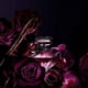 thumbnail image 3 of Tresor La Nuit Dama Edp 100 Ml, 3 of 3