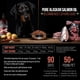 thumbnail image 3 of Suplemento de aceite de salmón Best Paw Nutrition para perros y gatos 960 ml, 3 of 9