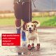 thumbnail image 5 of Botas CovertSafe& para Perro Talla 7 Impermeables y Antideslizantes, 5 of 6