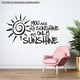 thumbnail image 2 of Frase Deco You Are My Sunshine My Only Sunshine FR-11068, 2 of 3