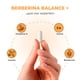 thumbnail image 5 of Berberina Balance+ 60 Cápsulas  500 Mg Nutrilife+ Suplementos, 5 of 10