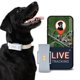 thumbnail image 1 of Rastreador GPS para Perros PAJ GPS en Tiempo Real 4G Impermeable, 1 of 9