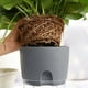 thumbnail image 3 of Macetero autorregante Lite 11, 3 of 3