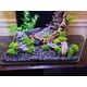 thumbnail image 5 of VIVARIUM Small World Pizarra y Piedra 13‑18 cm 4,5 kg, 5 of 8