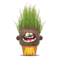 Plant Pals - Happy Hank Hape