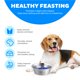 thumbnail image 4 of Comedero para perros Outward Hound Fun Feeder de acero inoxidable, 4 of 6