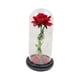 thumbnail image 5 of Flor Eterna, Cubierta De Cristal De Rosa, Flor Artificial Para Niñas, Regalo, Base Negra Con Pétalo, 5 of 5