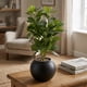thumbnail image 2 of Planta Artificial Ficus Decorativa Maceta Decoracion Hogar negro, 2 of 9