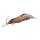 thumbnail image 1 of Criaturas De Gambas Realistas Figuras De Juguete Aprendizaje Temprano Cognitivo Para La Ense?anza Negro 103g, 1 of 5