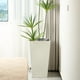 thumbnail image 3 of Macetero Plastico Alargado Premium Base Cuadrada Conica blanco, 3 of 9