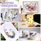 thumbnail image 3 of Kit de prensa de flores Suziko, tamaño grande, para adultos y niños, con caja de regalo, 3 of 8