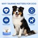thumbnail image 3 of Suplemento de taurina para perros Doggy Supps, 200 g, apoyo inmunológico, 3 of 7