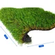 thumbnail image 3 of Pasto Sintetico 20mm Rollo 2x7 Metros Realista Con Memoria Guiza, 3 of 8