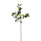 thumbnail image 1 of Rama De Limon 95cm, 1 of 3