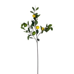 Corel - Rama De Limon 95Cm