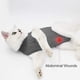 thumbnail image 4 of Traje de recuperación para gato DOTON posoperatorio suave gris talla M, 4 of 5