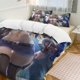 thumbnail image 1 of YuGiOh Anime Home Bed 3-piece Set Classic Japanese Anime Polyester Wash Student Dormitory Set, 1 of 5