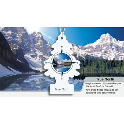 Pino Aromatizante Viento Artico  Little Trees