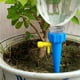 thumbnail image 2 of Effortlessly Water Your Plants with 10 Self-Watering Devices - Perfect for House Plants, Greenhouses, and Gardens!, 2 of 4
