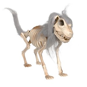 Bothyi - Decoración Para Fiesta De Halloween: Esqueleto De Perro, Herramienta Versátil Para Aprender Anatomía, 38 X 8 X 25 Cm