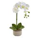 thumbnail image 1 of Planta artificial de orquídea Phalaenopsis casi natural con maceta de cerámica, 1 of 7