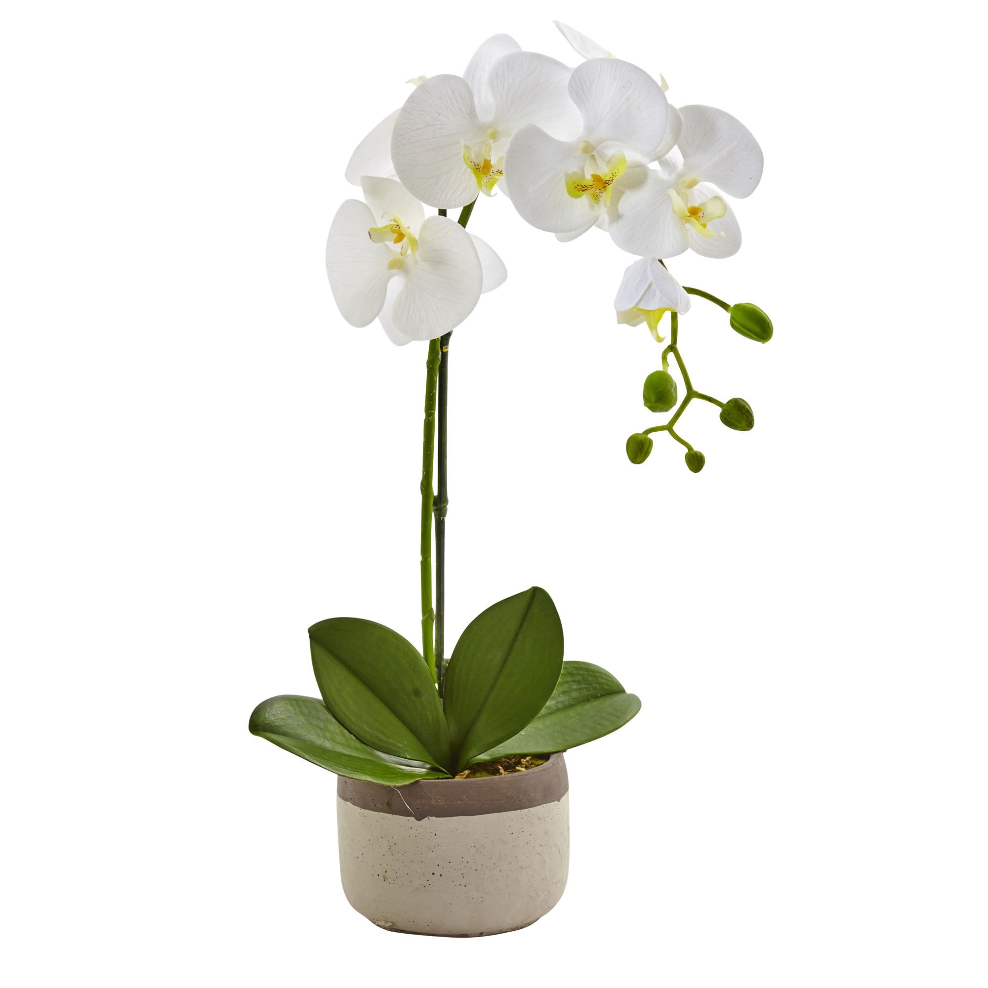 Nearly Natural - Planta Artificial De Orquídea Phalaenopsis Casi Natural Con Maceta De Cerámica