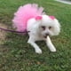 thumbnail image 3 of Disfraz De Perro Y Gato Para Mascota, Tutú, Fiesta De Animales, Falda De Tul, 3 of 8