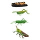 thumbnail image 2 of Juego De Ciclo De Crecimiento De Langosta, Juguete De Aprendizaje Cognitivo De Biología Para Ni?os Peque?os, 2 of 5