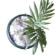 thumbnail image 1 of Agropelo: Mulch De Ahorro Hidrico (pelo de perro) - 19 CM, 1 of 3