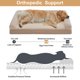 thumbnail image 2 of Cama ortopédica impermeable para perros grandes BFPETHOME, 2 of 7