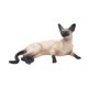 thumbnail image 4 of Figura De Gato En Miniatura, Juguete De Simulación, Estatua Realista De Gato Acostado, 11,6 X 7 X 5,1 Cm, 4 of 5