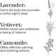 thumbnail image 3 of Kit de viaje para dormir thisworks Choose Sleep con aerosol, 2 x 5 ml, 3 of 6