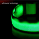 thumbnail image 4 of Collar para perros con luz LED Blazin: visibilidad de pies - El más brillante para seguridad nocturna, 4 of 6