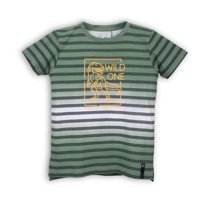 Polera Niño Verde Pillin