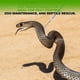 thumbnail image 4 of Snake Grabber Tool Smarkey Snake Hook, muy resistente, 107 cm, 4 of 6