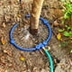 thumbnail image 2 of 360 ° Sistema de agua de árbol Anillo de riego de árbol Sprinkler de círculo y sistema de riego Agua dirigida con divisor de manguera Y para plantas al aire libre de árboles nuevos Camas de, 2 of 3