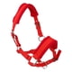 thumbnail image 1 of Espesar Pony Horse Halter Head Collar Hípica Estable Protectora Rojo M, 1 of 5