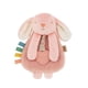 thumbnail image 1 of Lovey Itzy Ritzy Itzy Lovey con cintas texturizadas en forma de mordedor, color rosa, 1 of 8