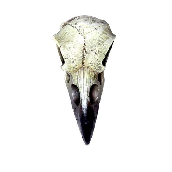 Talismán, alquimia, relicario gótico, calavera de cuervo, resina blanca