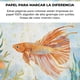 thumbnail image 4 of Grabie Club Box: Kit de Acuarela + Libro de Temática Oceaño, 4 of 10