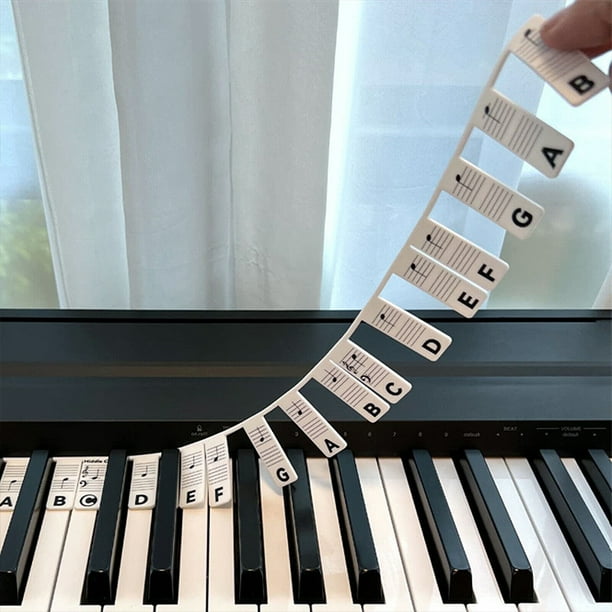 Piano Notes Guide For Beginner, Removable Piano Keyboard Note Labels For Learning, Made Of Silicone, No Need Stickers, Reusable Piano Key Letter (Rainbow Colors,Black, 61 Keys )