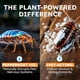 thumbnail image 3 of BugMD Pet Safe MultiInsect Killer and Repellent Spray, 3 of 3