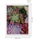 thumbnail image 2 of Plantas Suculentas Kits de Pintura de Diamantes para Adultos 5D DIY Diamond Art Kits Full Drill Diamond Dots para Regalo Decoración de Pared y Relajación Artes de Gemas 30*40cm, 2 of 6