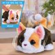 thumbnail image 5 of Juguete interactivo Just Play FurReal My Minis Kitty para más de 4 años, 5 of 6