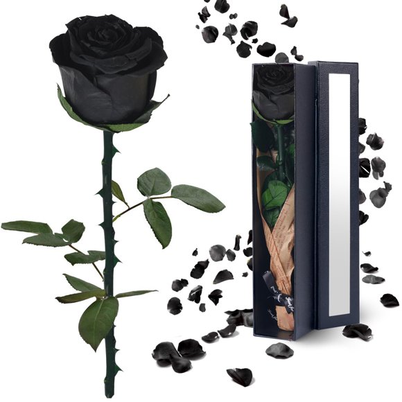 Flores de rosas negras preservadas YAMPP para mujer, 5 años de duración