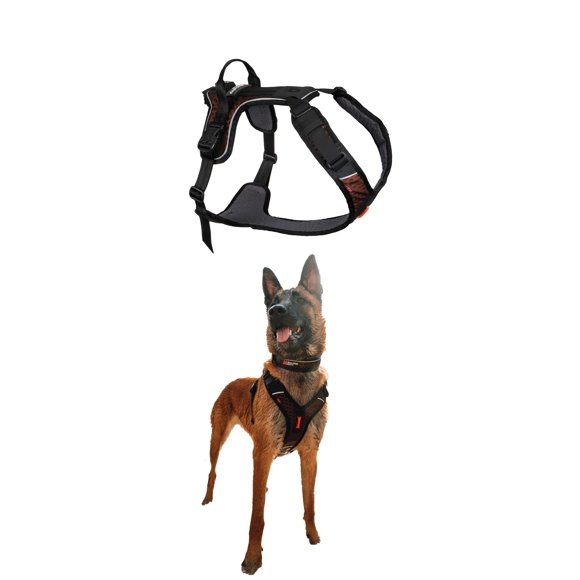 Arnés para perro Non‑stop dogwear XS negro/naranja