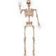 thumbnail image 1 of Esqueleto de Halloween JOYIN, de 5.6 pies, plegable, tamaño natural, con articulaciones, 1 of 9