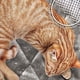 thumbnail image 3 of Cama para gatos Furhaven ThermanAP, autocalentable, lavable, gris, pequeña, 3 of 8