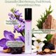 thumbnail image 3 of Aceite de perfume Umpeimvon Marshmallow Blush para mujer 10 ml (paquete de 3), 3 of 7
